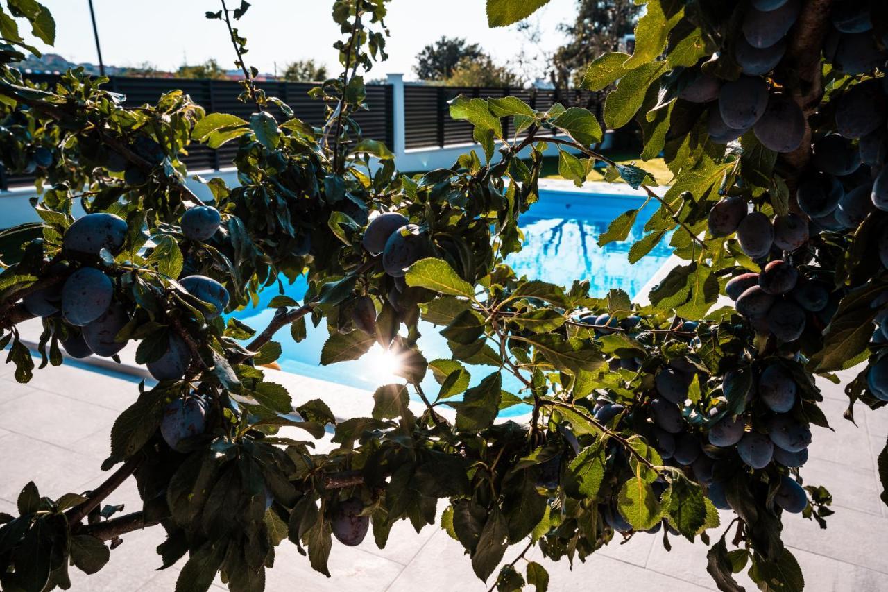 Villa Margita Split Kültér fotó
