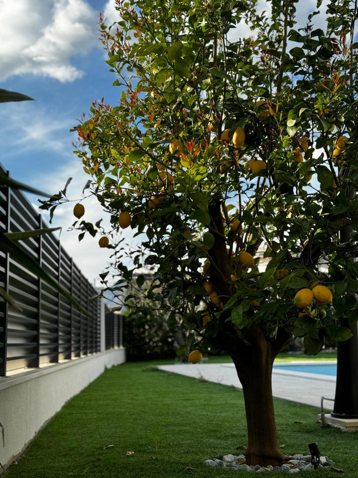 Villa Margita Split Kültér fotó