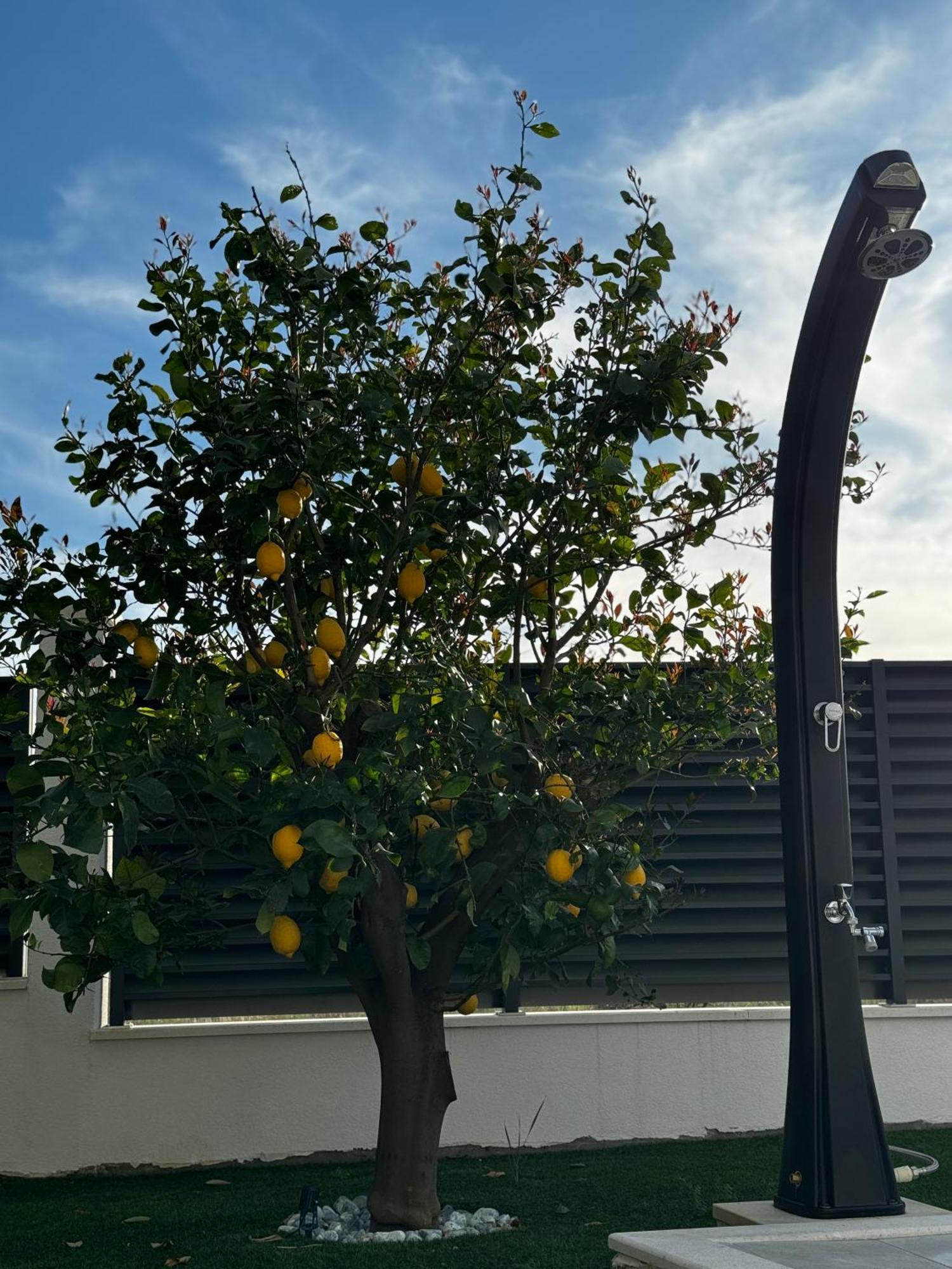 Villa Margita Split Kültér fotó